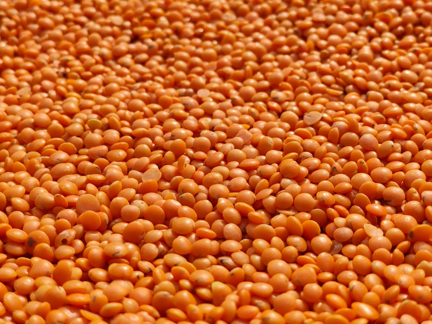 Ein appetitliches Frühstück mit einer Schüssel Hafermüsli mit Beeren und Nüssen, einer Smoothie-Bowl, Protein-Pancakes und Vollkornbrot mit Aufstrich auf einem Holztisch bei natürlichem Licht.