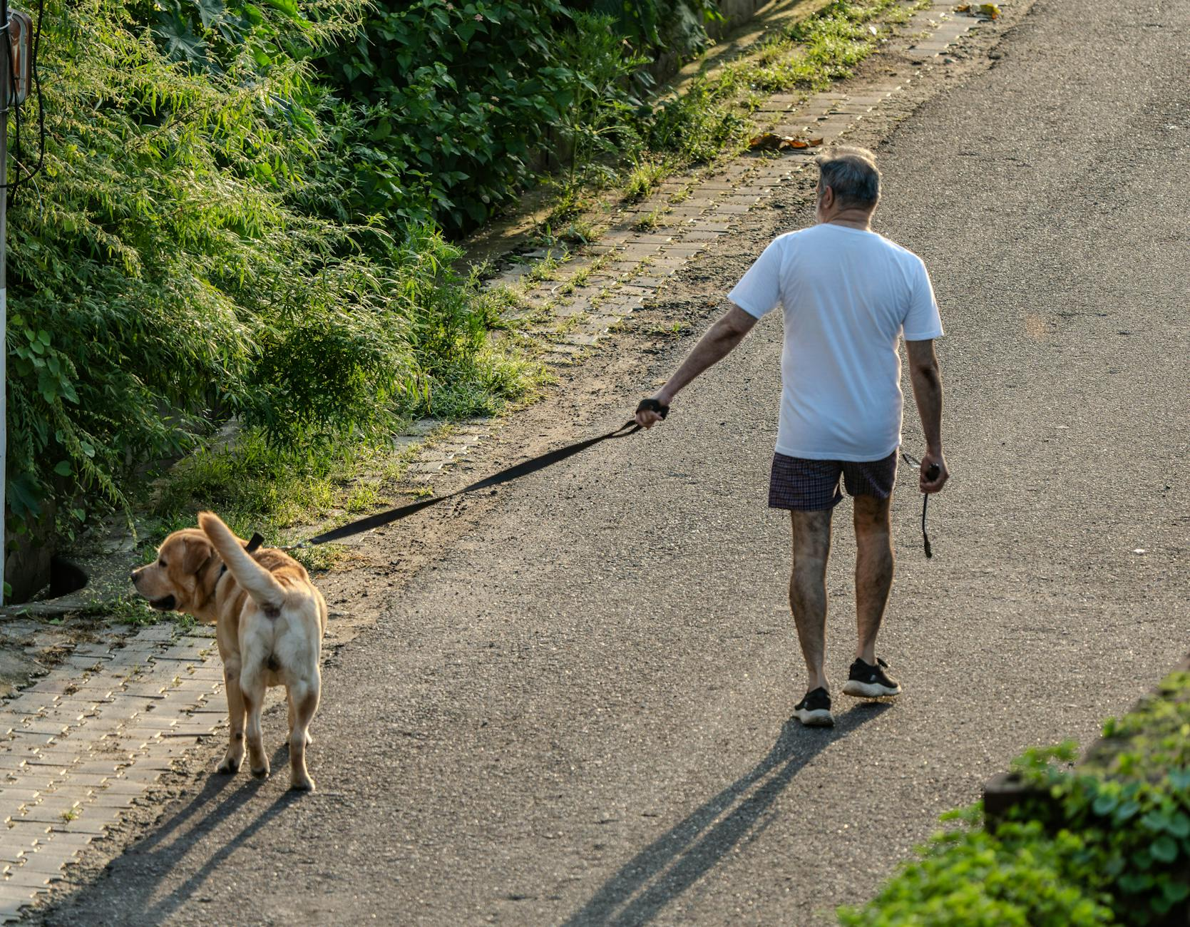 Eine entspannte Person sitzt am Morgen am Fenster und genießt das natürliche Tageslicht in einem gemütlichen Wohnzimmer mit Pflanzen, symbolisch für nachhaltiges Wohlbefinden im Alltag.
